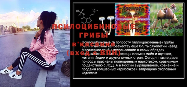 бошки Абинск