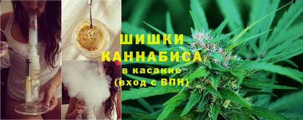 молекула духа Кулебаки